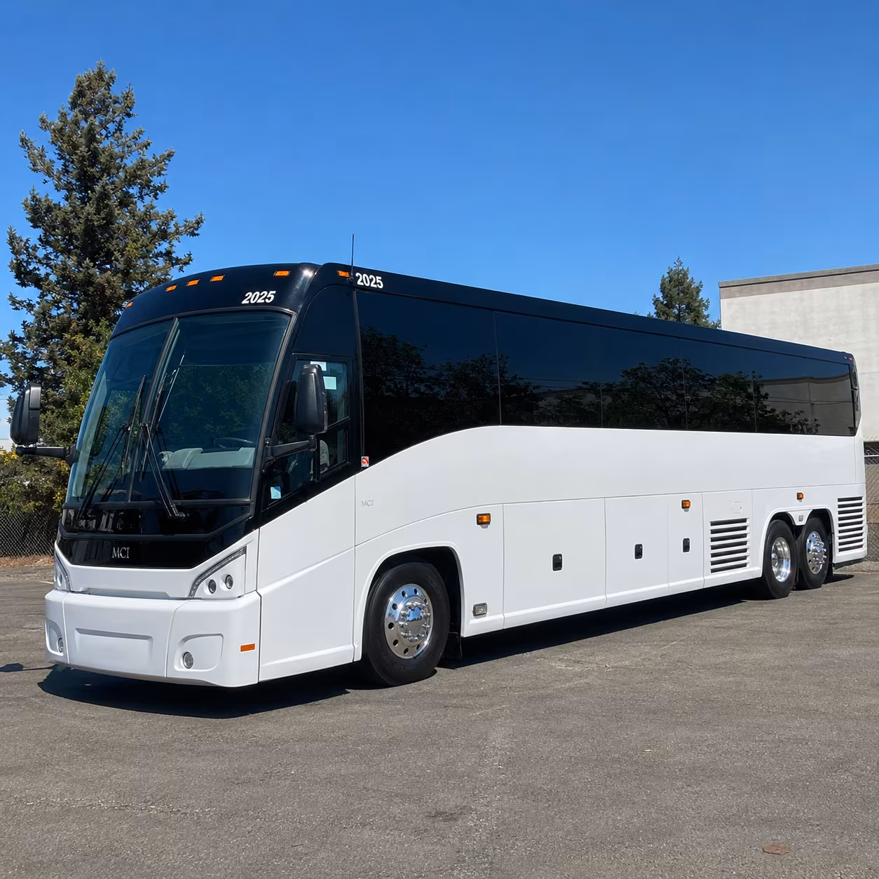 sacramento birthday party transportation onboard seating